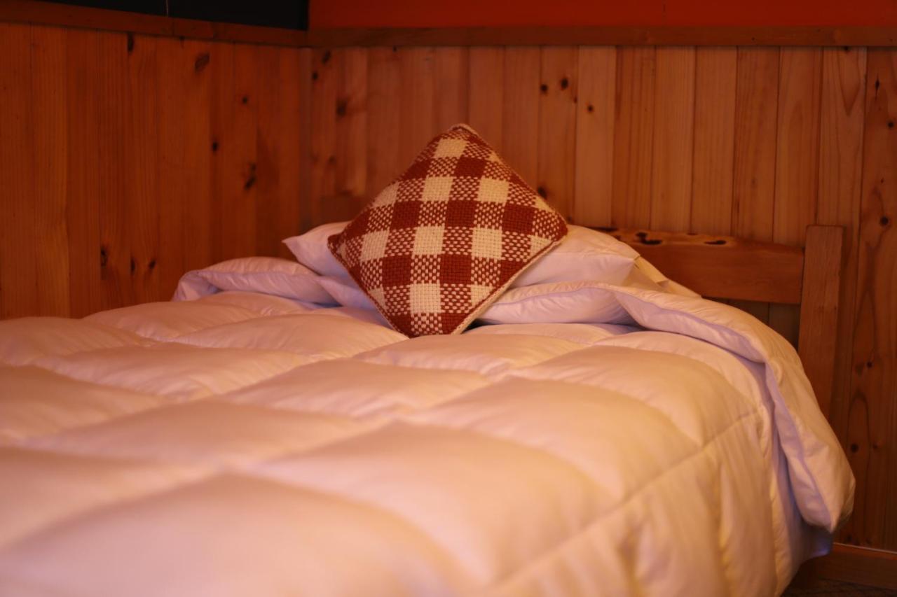 Profe Nelson Hostel Puerto Cisnes Bagian luar foto